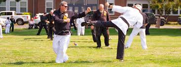 Image result for America's Best Karate Chandler