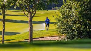 Image result for Alresford Golf Club