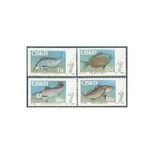 Image result for Lithognathus lithognathus