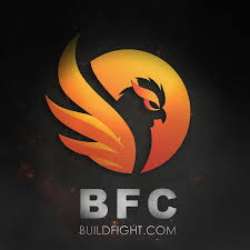 Image result for bfc