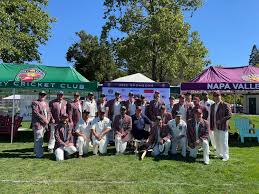 Image result for Capel Cricket Club