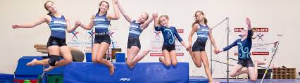Image result for Sheredes Gymnastics Club