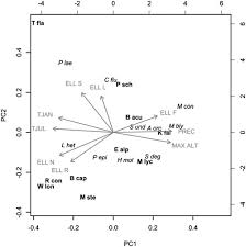 Attēlu rezultāti vaicājumam “Pseudobryum cinclidioides cells”