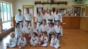 Image result for HEIWA SHOTOKAN KARATE CLUB
