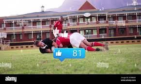 Image result for Haslemere Community Rugby Club