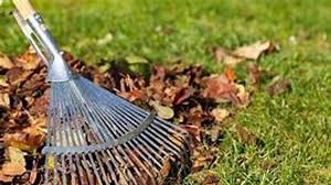 Image result for Armitage Bridge Cricket Club