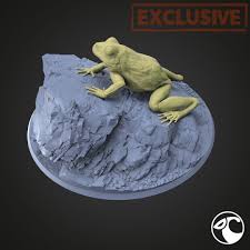 Attēlu rezultāti vaicājumam “Hyla arborea”