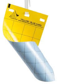 %2a Yellow%Card에 대한 이미지 검색결과