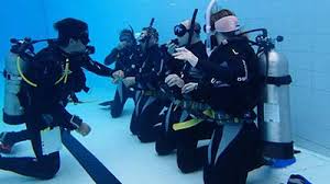 Image result for World Divers