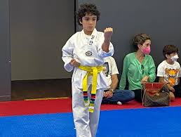 Image result for Parkgate Taekwondo Club