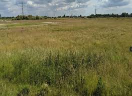 Image result for Northwich Predators