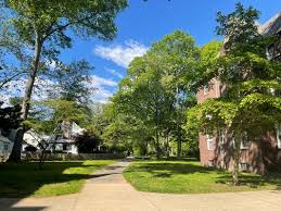 Image result for radburn system