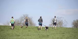 Image result for Epping Runners