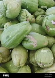 Attēlu rezultāti vaicājumam “Cucurbitaceae”