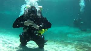 Image result for Headstream Divers