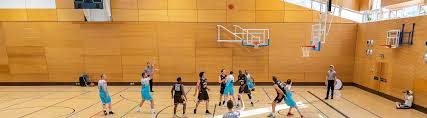 Image result for Surrey Spitfires Basketball Club