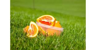 Image result for Hessle rufc