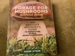 Attēlu rezultāti vaicājumam “Physarum pseudoalexandrowiczii”