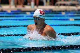 Image result for Elmbridge Phoenix Swimming Club