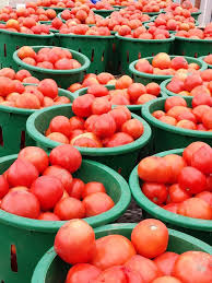 Afbeeldingsresultaat voor marizol purple tomato