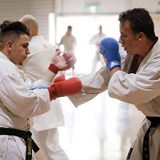 Image result for Crowtorne Shotokai