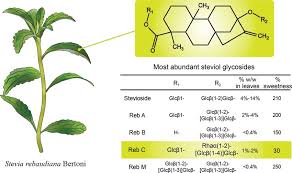 Image result for Stevia rebaudiana