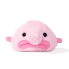 Image result for blobfish