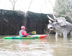 Image result for Kingfisher Canoe Club