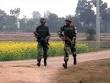 Arnia: Latest News, Photos, Videos on Arnia - NDTV.