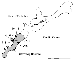 Attēlu rezultāti vaicājumam “Bilimbia tetramera”
