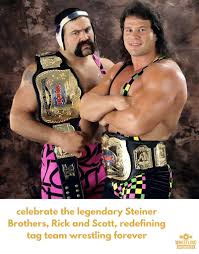 Image result for True stiners