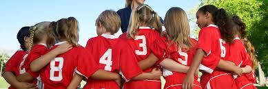 Image result for Netherne Community Amateur Sports Club