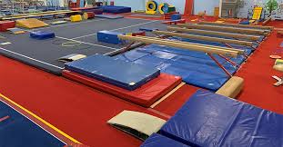 Image result for Croydon School Of Gymnastics