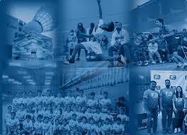 Image result for Regal Arts Junior Badminton Club