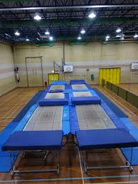 Image result for Swallows Trampoline Club