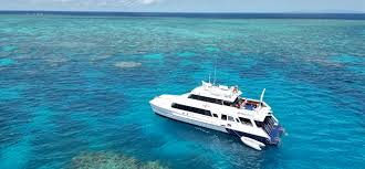 Image result for Seaquest Divers