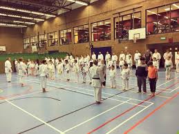 Image result for middlesbrough karate academy