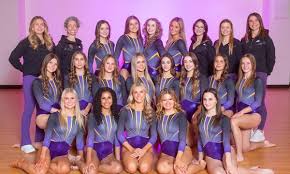 Image result for Harnham Gymnastics Club