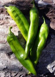 Afbeeldingsresultaat voor numex sandia hot pepper