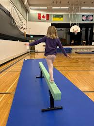 Image result for Tetbury Gymnastics Club
