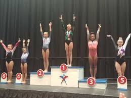 Image result for Team Lightning Trampoline Club
