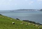 the low-sulphur variety, which is now mandatory in the Baltic Sea. - via Daymix