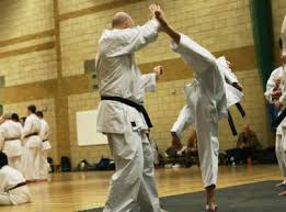 Image result for Abbey Fit Karate Club & Seiki Juku