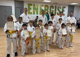 Image result for Kenshukai Karate