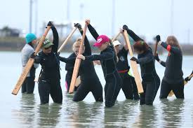 Image result for Wam Dragon Boat Racing Team