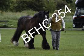 Image result for Blackpool & Fylde Horse Club