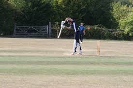 Image result for Horsley & Send Cricket Club