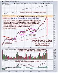 Image result for silver sa