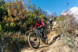Image result for Berks On Bikes Mountain Bike Club