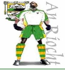 Image result for An Riocht Gaa Club